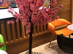 -知音艺术教育培训·钢琴培训·音乐培训(河西金鹰世界校区)