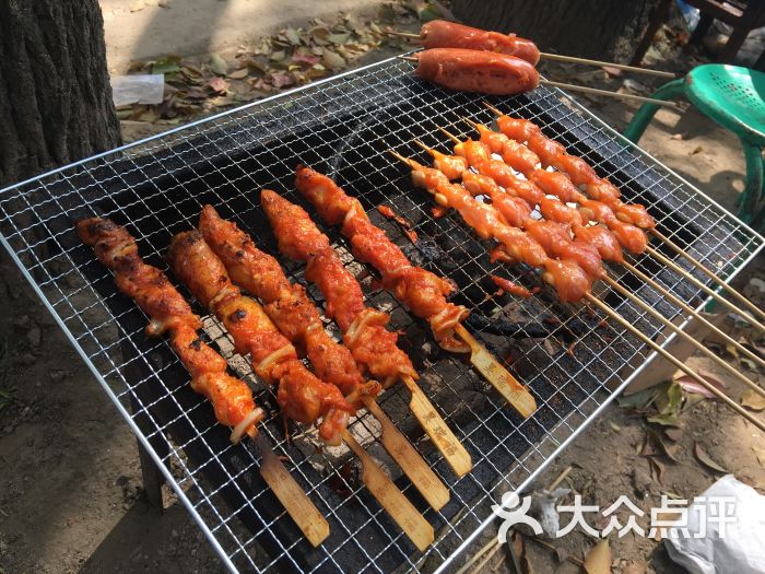 共青森林公园烧烤区-图片-上海美食-大众点评网