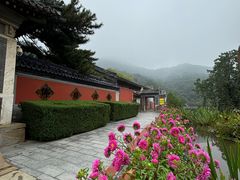 -潭柘寺景区