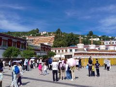 -伊帆食府·青海地方特色美食