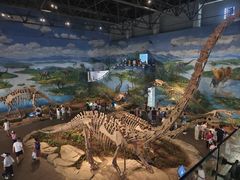 -自贡恐龙博物馆