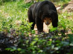 -杭州野生动物世界
