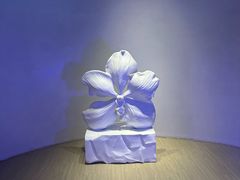 -涨巢·潮玩水疗局