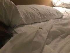 -绍兴中金豪庭大酒店