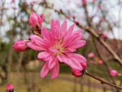 -上海市龙华烈士陵园