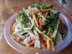 -合肥滨湖国家森林公园