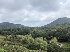 -句容茅山景区