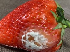 -北京清河镇农副产品交易市场中心