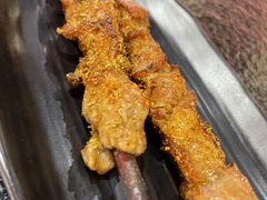 烤红柳枝羊肉串-京炭铜锅涮肉·羊蝎子·羊肉炉(保利·时光里店)