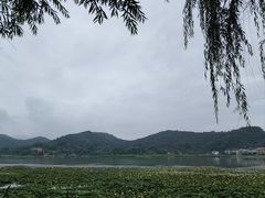 -鸣鹤古镇