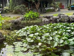 -日出青木·杭帮菜名店