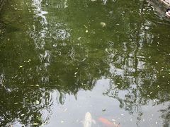 -春风习习