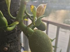 -新合益乡村农庄