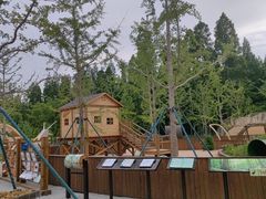 -黄海国家森林公园