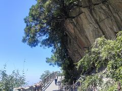 -少华山国家森林公园