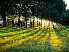 -长白岛森林公园