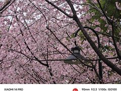 -静安雕塑公园
