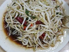 炒豆芽-三中高皇羊肉馆