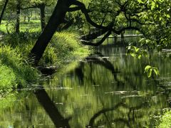 -上海共青森林公园