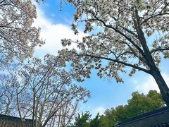 -王记姚家味·地道苏帮菜(凤凰街店)