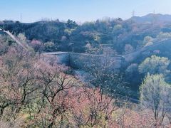 -紫荆关