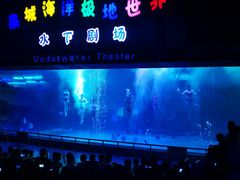-泉城欧乐堡海洋极地世界
