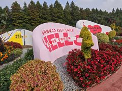 -荷兰花海