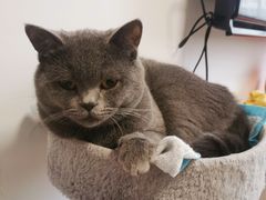 -欧奕国际动物医院