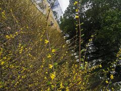 -美兰湖景区
