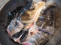 -好灶头妈妈菜·柴火灶台鱼·千岛湖土菜地标美食