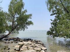 -宝安西湾红树林湿地公园