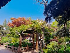 -龙华寺