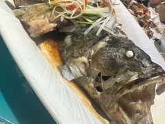 -大锅强·蒸海鲜青岛菜(金沙滩店)
