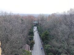 -灵谷景区