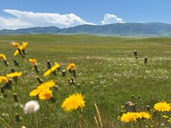 -青海湖国家重点风景名胜区