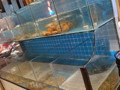 -漳州皇冠假日酒店·原素全日制餐厅