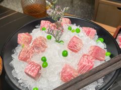 -季季山•云南野生菌火锅(上海首店)