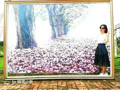 -广东花都香草世界旅游度假区