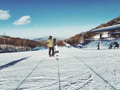 -亚布力新体委滑雪场