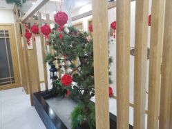 -芳朵美容养生SPA