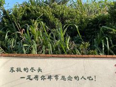 -东极岛景区