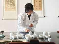 -诗宇时光茶艺书法古琴培训