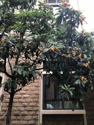 -杉惠素颜美妆皮肤管理中心