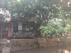 -小洲村
