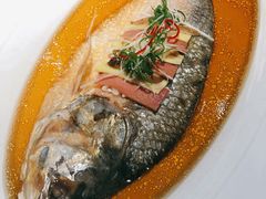 古法秘制蒸鲥鱼-麟1929(外滩店)