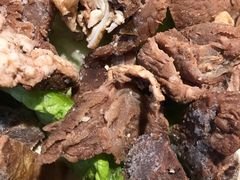-蜀辣居鲜货老火锅(红牌楼店)