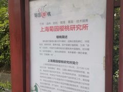 -菊园百果园