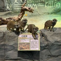 -Zoolung Zoolung动物主题公园(海信广场店)