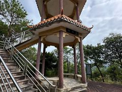 -广州白江湖森林公园