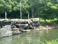 -宁波野生动物园